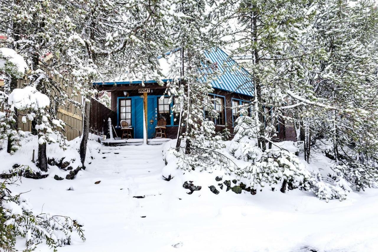 Flying Stag: Main Lodge Гавърнмънт Кемп Екстериор снимка