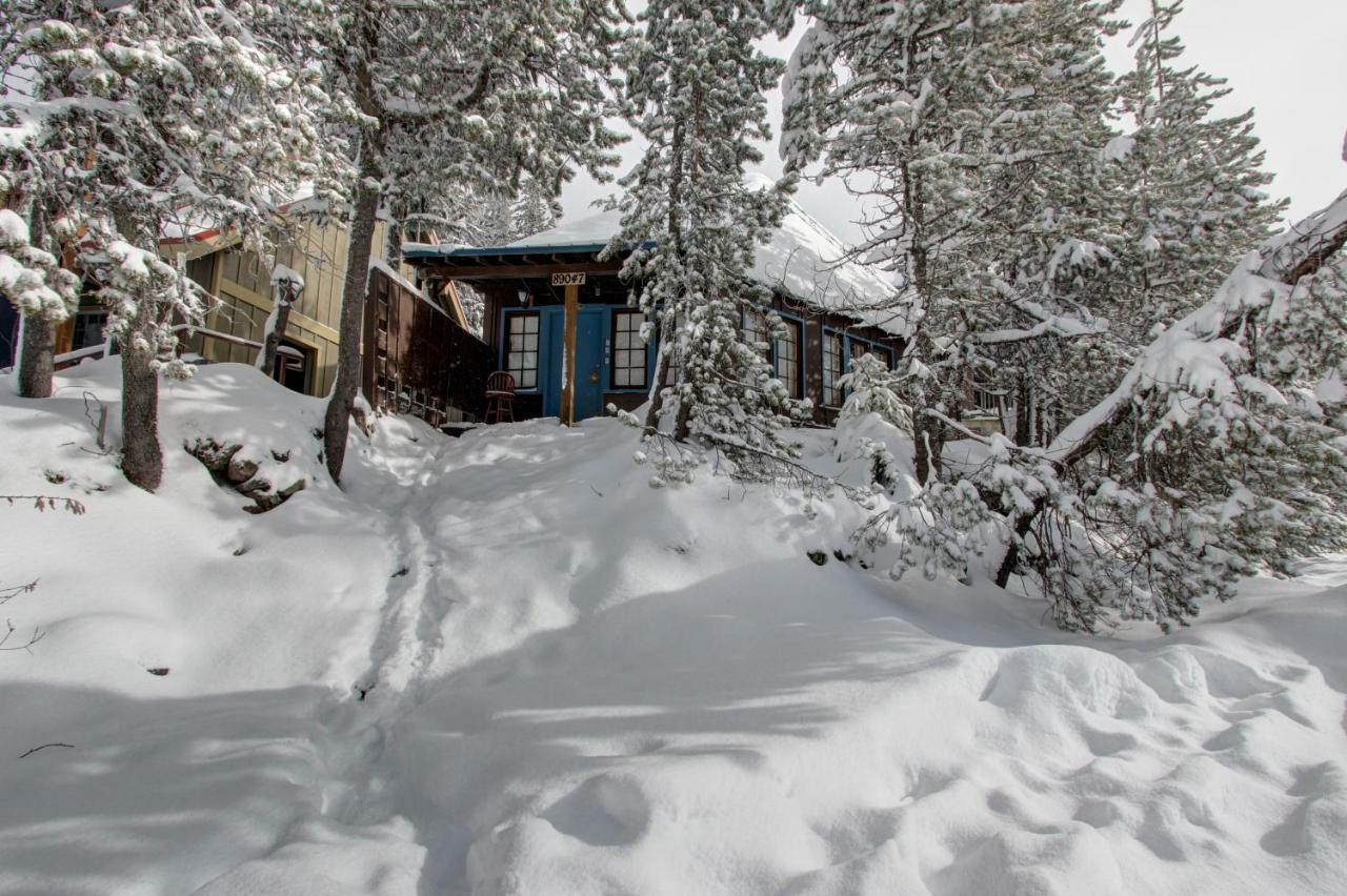 Flying Stag: Main Lodge Гавърнмънт Кемп Екстериор снимка